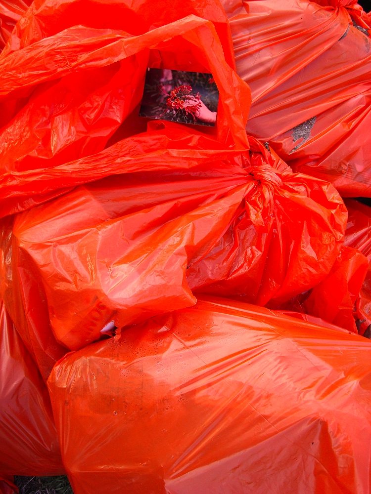 County Launches Inmate Litter Pick-Up Program
