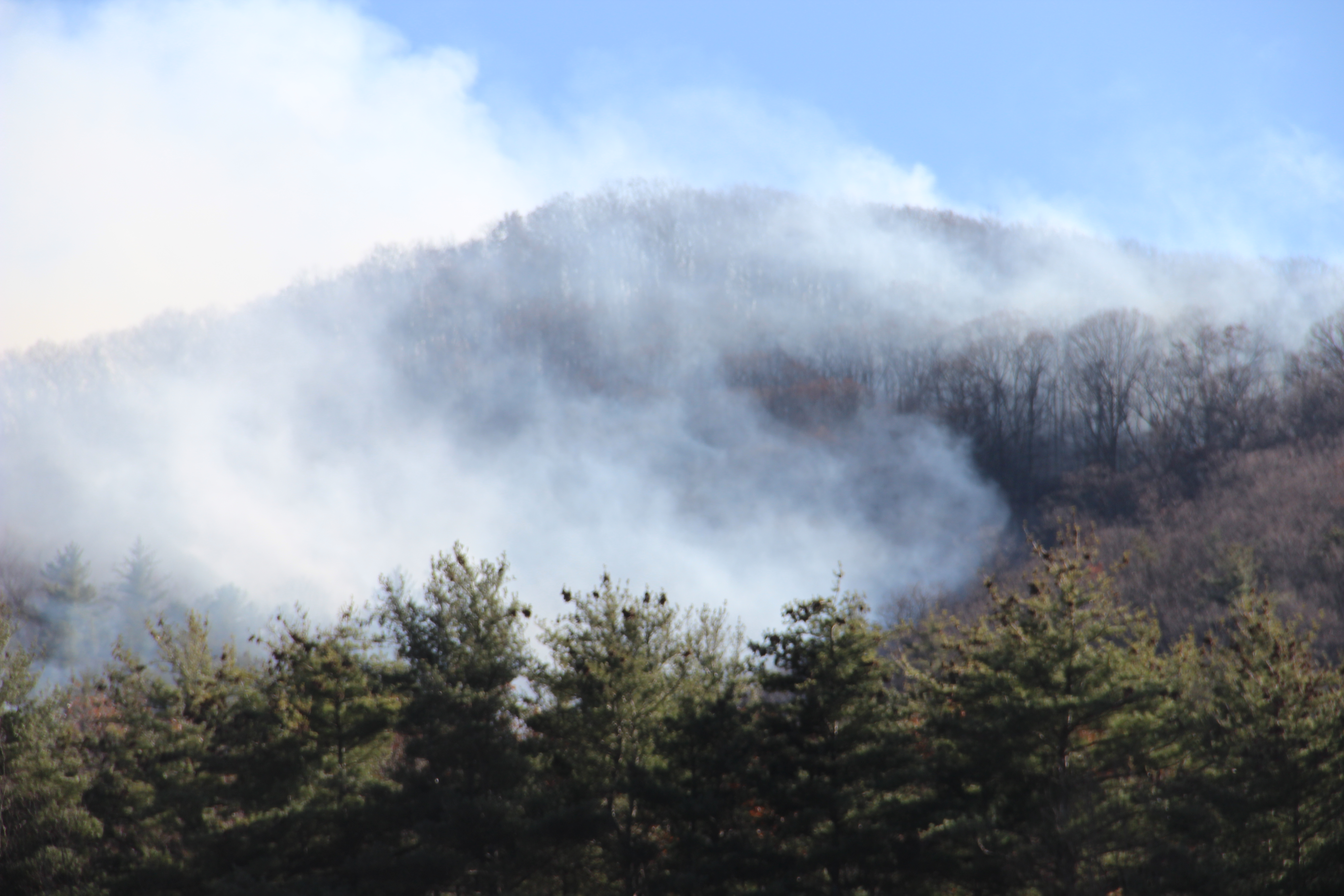 UPDATE: WYTHE COUNTY FOREST FIRE